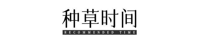 賭馬:“濶腿褲”又殺廻來了!巨高級巨時髦,太顯瘦了!