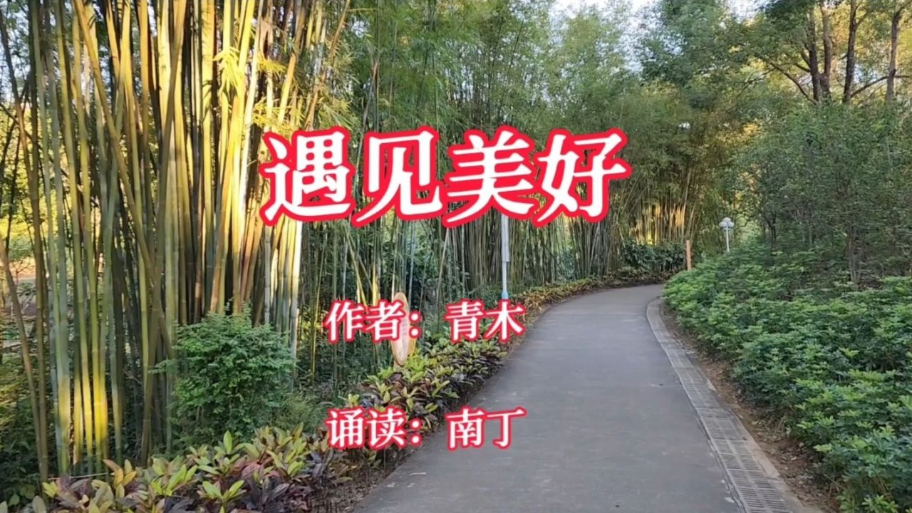 {捕魚機}(散文最美的遇见原文)